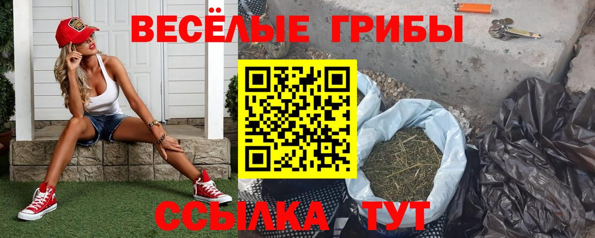 Псилоцибиновые грибы прущие грибы  Вход с VPN  Нягань 