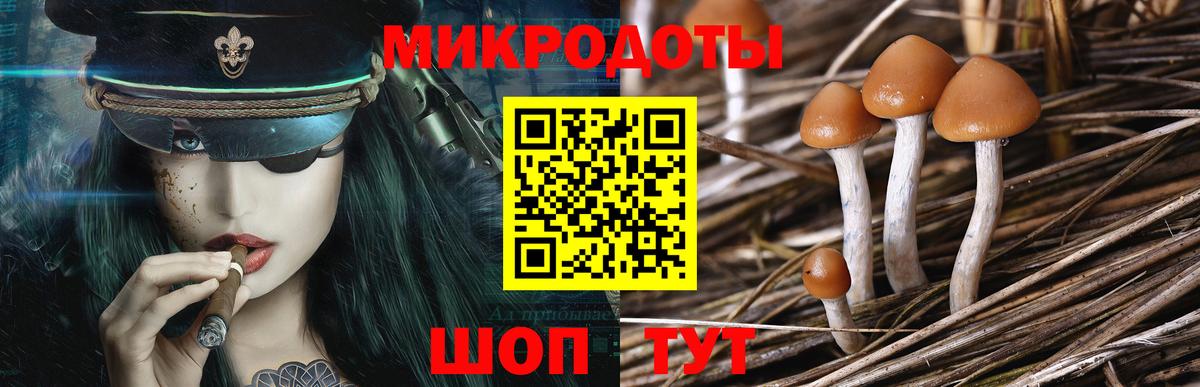 Галлюциногенные грибы GOLDEN TEACHER Нягань